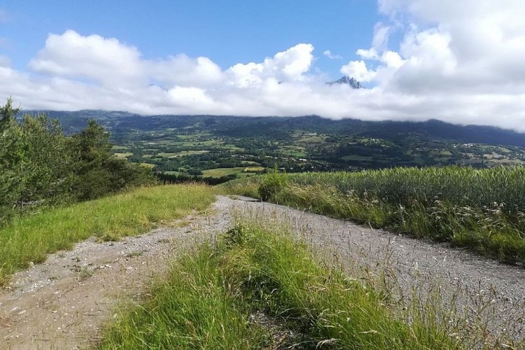 Sur les chemins des Curattes