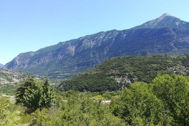 Paysage depuis le sentier des vignes
