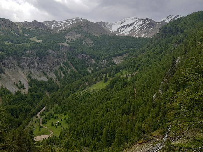 Sources de Jérusalem