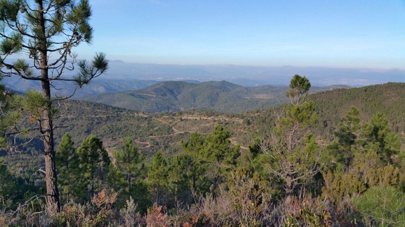 Terre Blanche - Bagnols - Fayence - Tourette