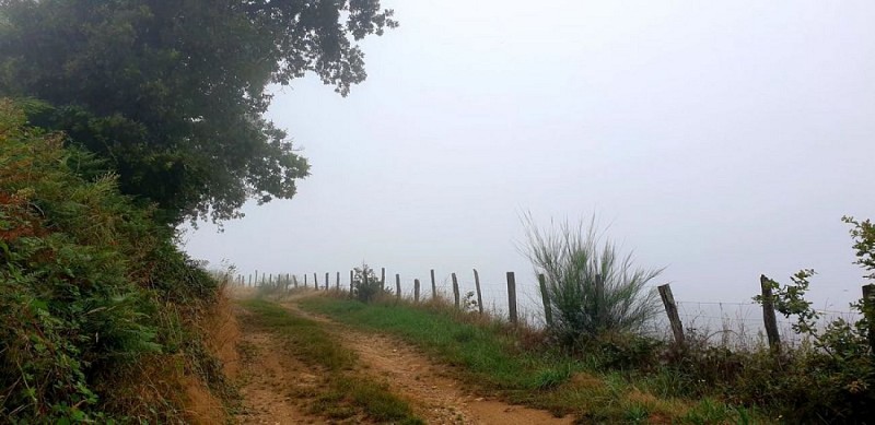 Chemin brouillard