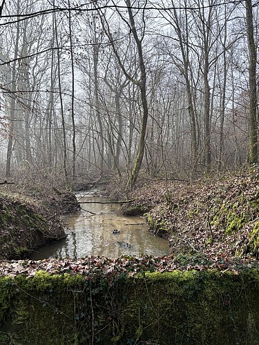 petit pont