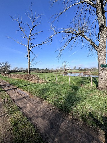 Chemin bocage