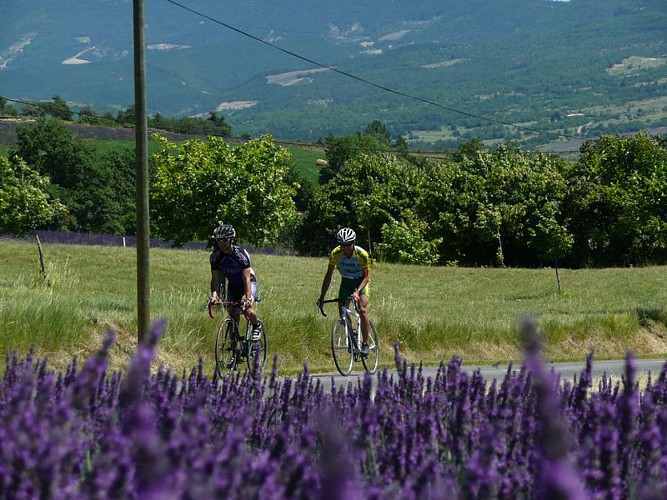 Aux alentours de St-Auban-sur-l'Ouvèze