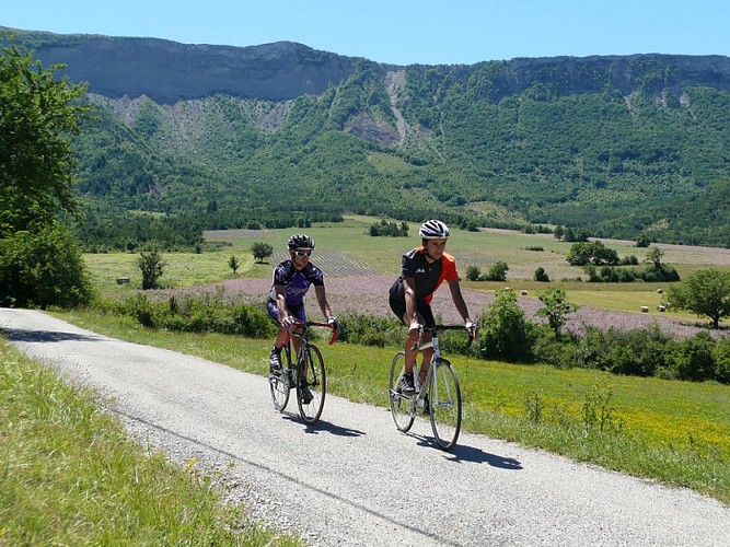 Autour de Saléon