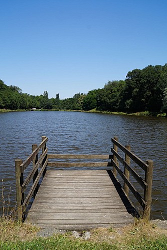 LES LUCS-SUR-BOULOGNE / Le Plessis *