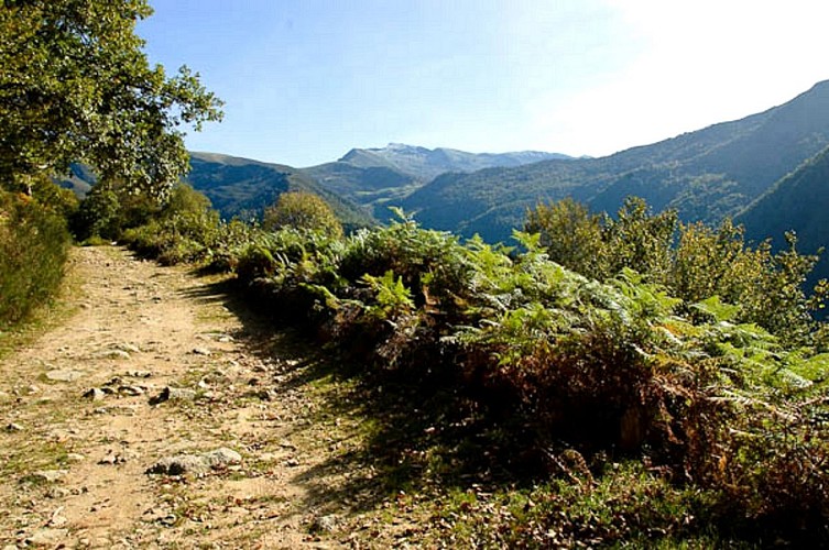 Le plateau de Guirel