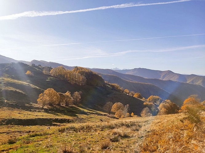 Sentier Les Goutets