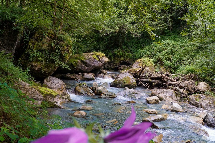 La vallée d'Estours - Cascade d'arcouzan