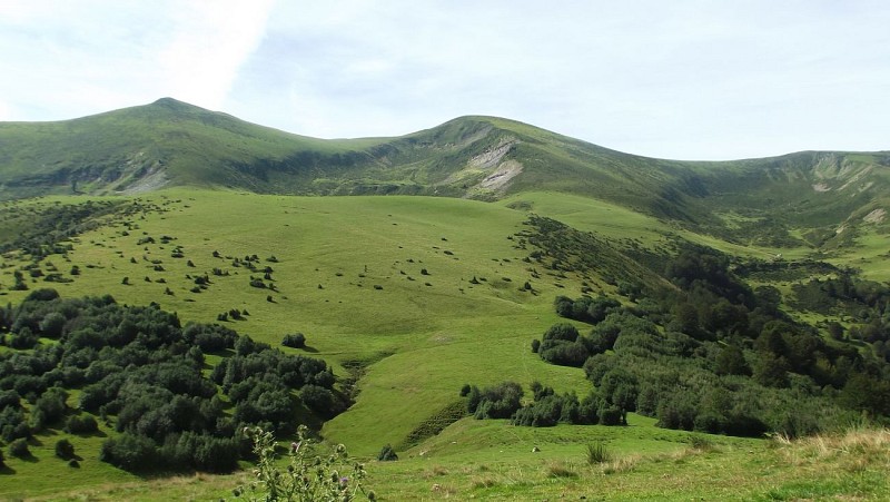 Sentier découverte haute Bellongue