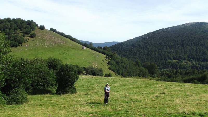 Sentier découverte haute Bellongue