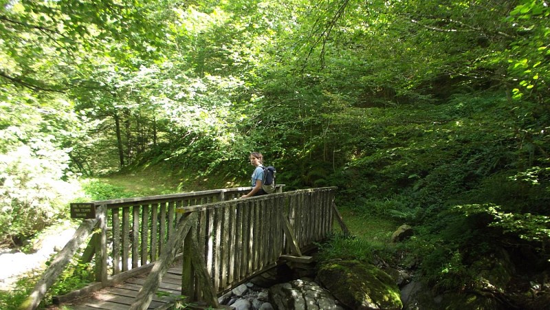 Sentier découverte haute Bellongue