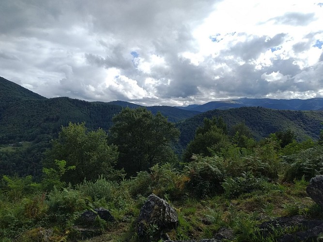 Vue sur la montagne