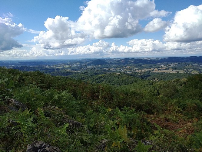 Vue sur la plaine