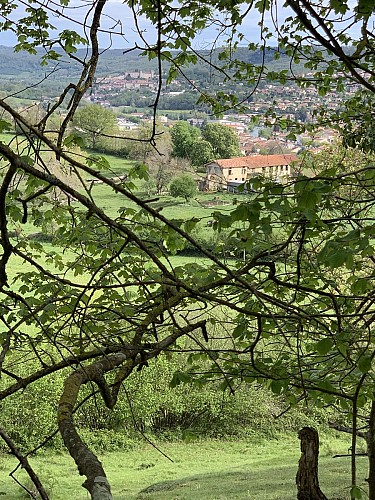 vue du chemin qui monte sur les hauteurs de Saint-Girons