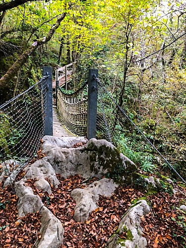 Pont de singe