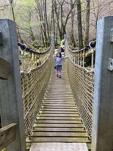 pont de singe