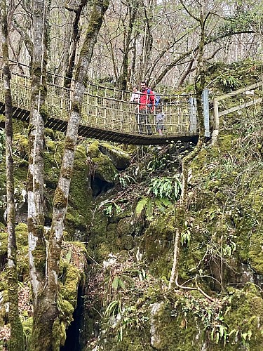 pont de singe