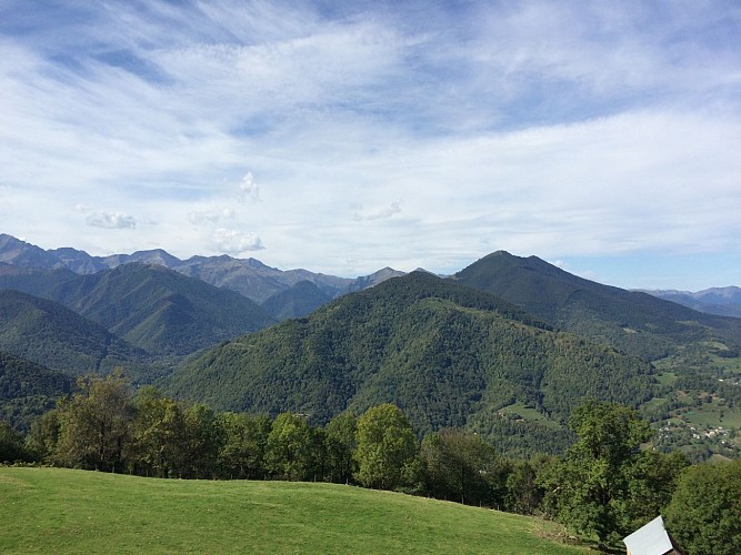 Arbre rond avec vue sur montagnes du Biros