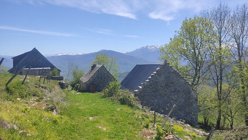 Les Granges sont regroupées en hameau