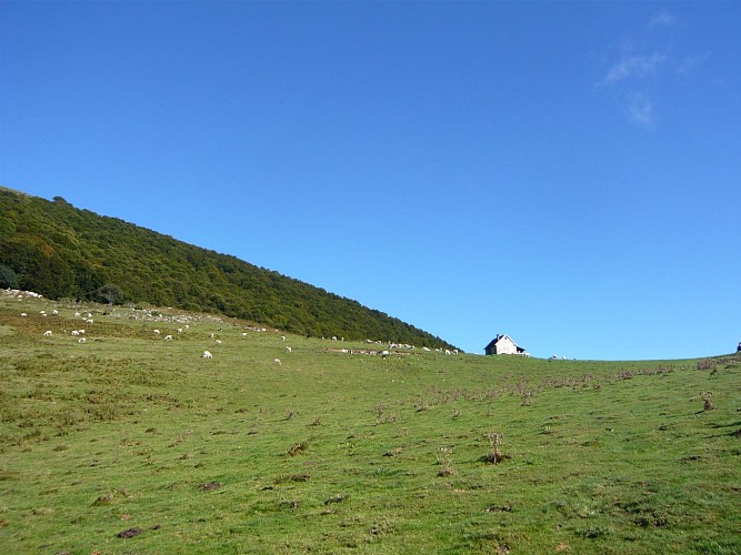 Col et Cabane d'Arraing en vue