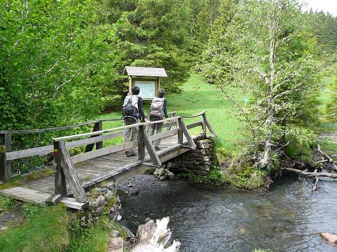 Passerelle vallée isard