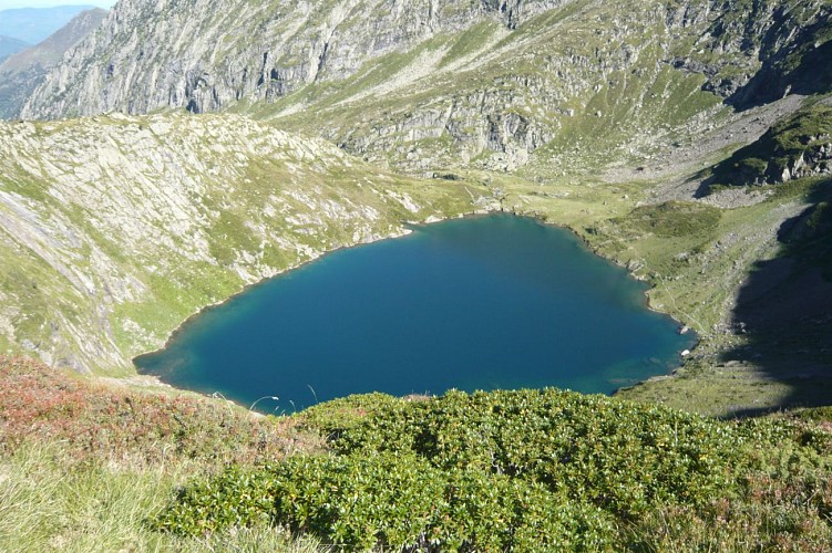 Au dessous de l'étang rond