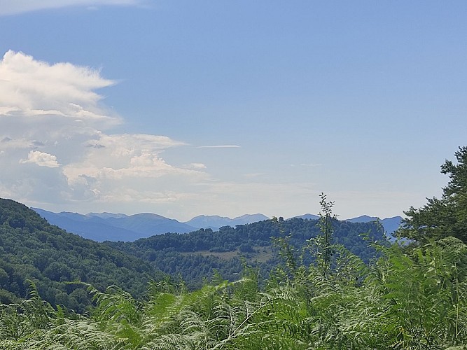 En Creux et en Bosses - Massif de Sourroque