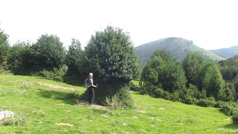 Sentier découverte Haute Bellongue