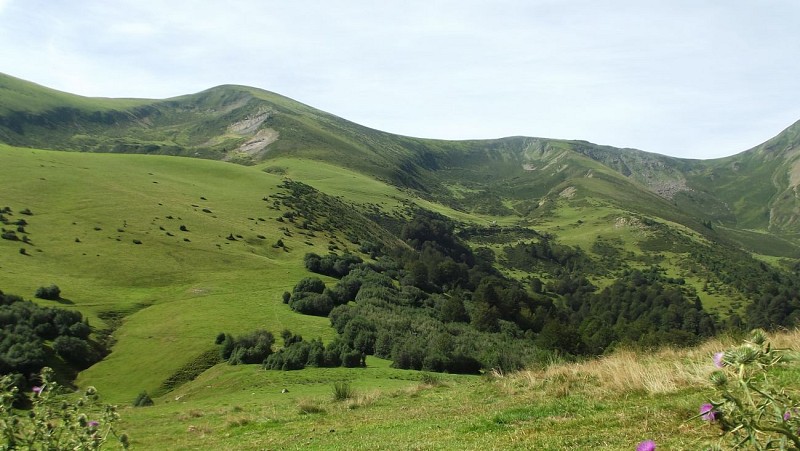 Sentier découverte Haute Bellongue