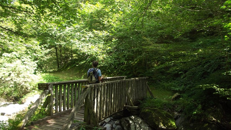 Sentier découverte Haute Bellongue