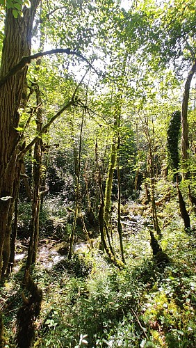 Encausse Chemin des Papetiers