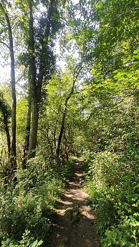 Encausse Chemin des Papetiers