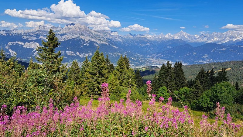 Grand Croisse Baulet from Avenaz - footpath_Cordon