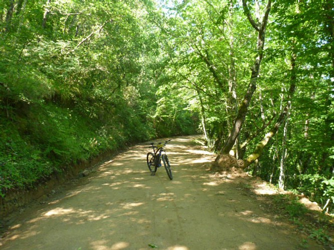 lac de saint cassien - bord du lac - les cretes - Barrage de Malpasset 28 km