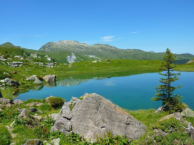 Beaufortain - Etappe 1 - Van Queige naar de Refuge de Lachat