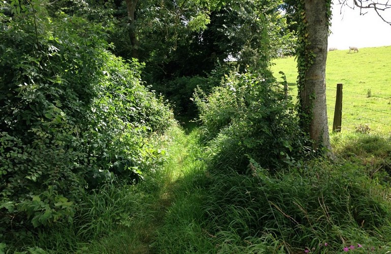 Circuit de Valloires