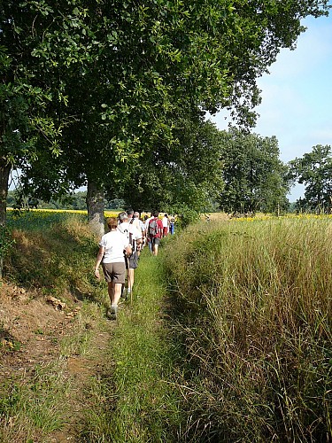 Sur les chemins