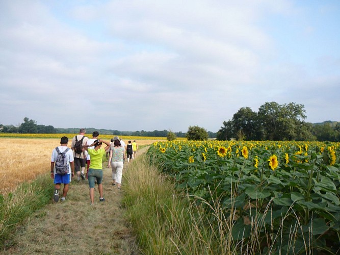 Vallée de la Gèle