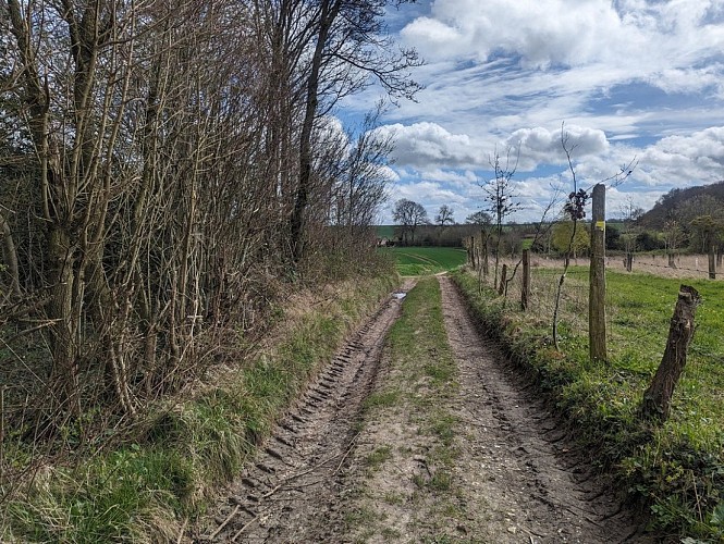 La vallée de Frosme