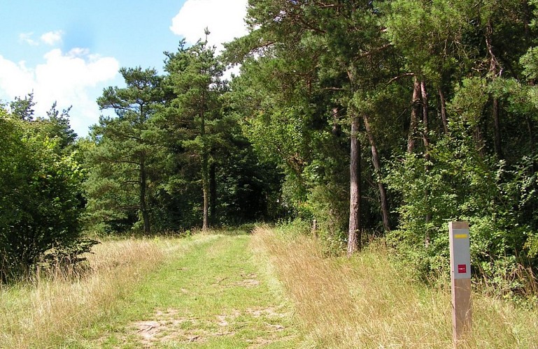 La Montagne de Fignières
