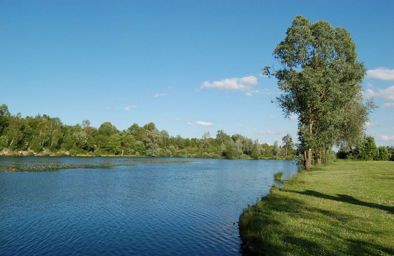 La réserve Naturelle Nationale de l'Etang Saint Ladre