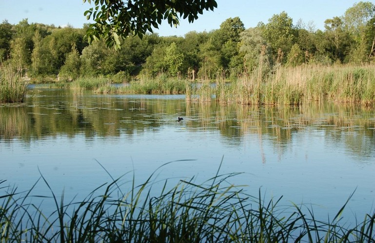 La réserve Naturelle Nationale de l'Etang Saint Ladre