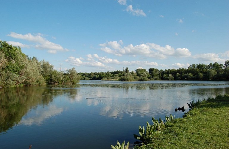 La réserve Naturelle Nationale de l'Etang Saint Ladre