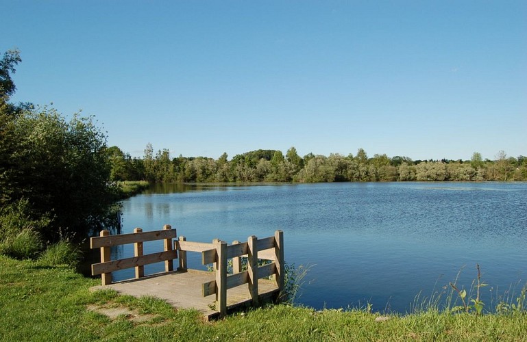 La réserve Naturelle Nationale de l'Etang Saint Ladre