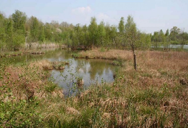 La réserve Naturelle Nationale de l'Etang Saint Ladre