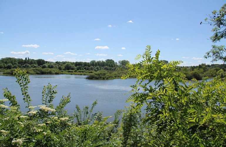 La réserve Naturelle Nationale de l'Etang Saint Ladre