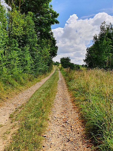 Circuit de l'arbre de la Croix