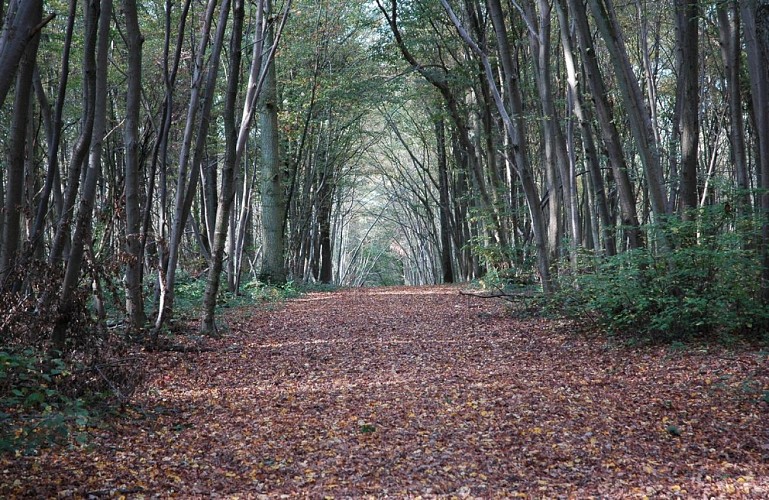 Le Parcours du Chevreuil