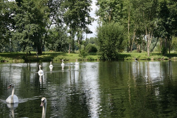 La coulée verte